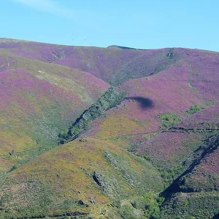 Real Loft 360º Daire *