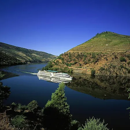 Daire Real Loft 360º *