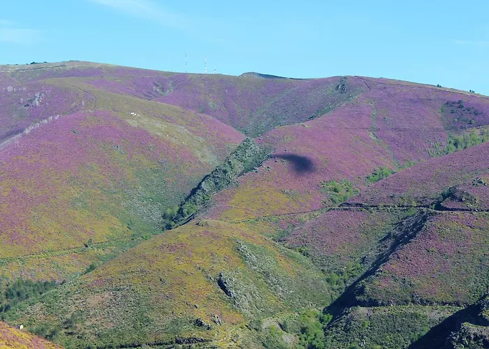 Real Loft 360º Appartement *